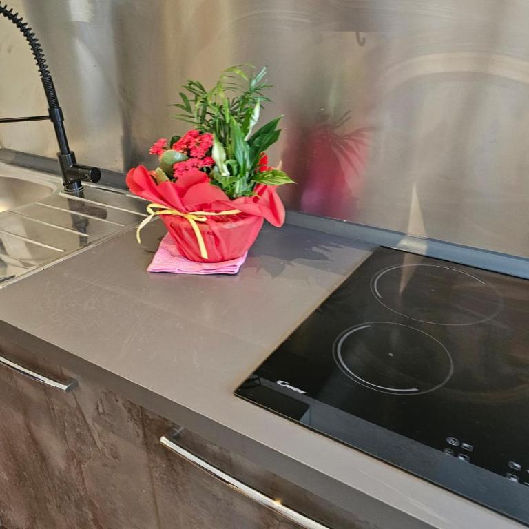 Grande Bellezza Luxury Suite - Monolocale Familiare - 4
