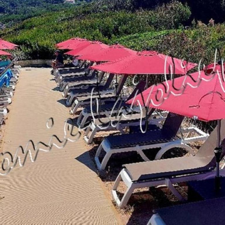 HYERES, Magnifique Parc de la Presqu'île avec Piscine et Plage face à Porquerolles ! - Apartment - 24