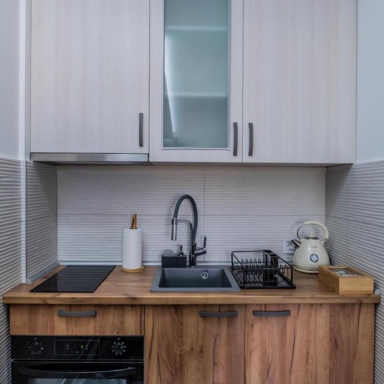 Apartman Despot LUX - Apartman sa 1 Spavaćom Sobom - 22