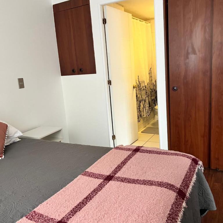 Departamento Céntrico 1 ambiente - Apartamento de 1 dormitorio - 3