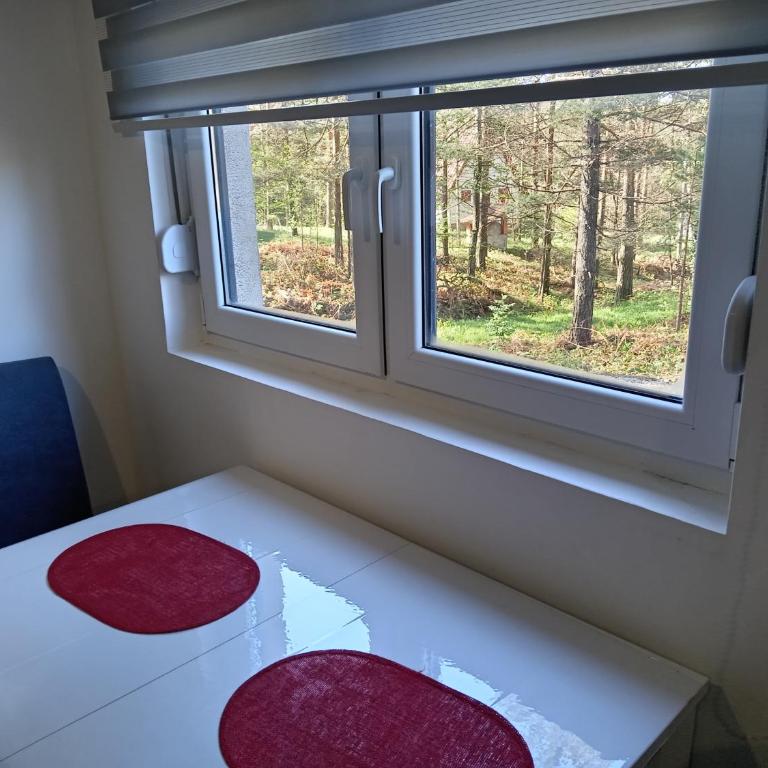 Apartman Savić Divčibare - Apartman sa 1 Spavaćom Sobom - 8