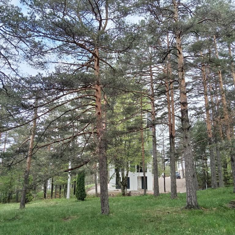 Apartman Savić Divčibare - Apartman sa 1 Spavaćom Sobom - 44