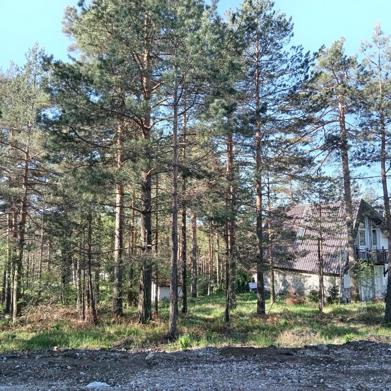 Apartman Savić Divčibare - Apartman sa 1 Spavaćom Sobom - 46