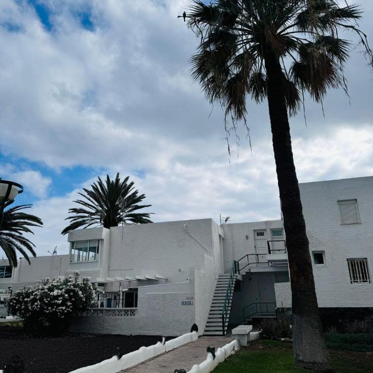 Marysol - Lovely studio Tenerife sur - Estudio con vistas al jardín - 54