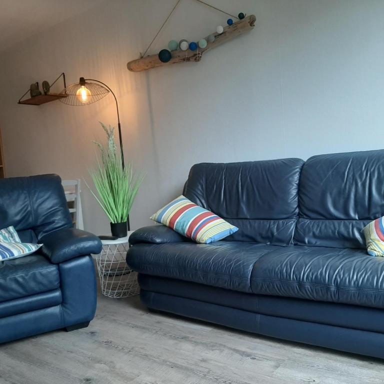 À deux pas des commerces et de l'océan, appartement rénové avec terrasse à Seignosse - Appartement 1 Chambre - 3