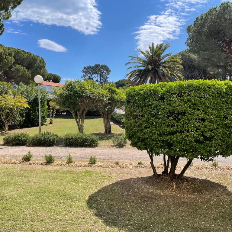 Appartement cosy à Argelès Plage, 4 couchages - FR-1-309-458 - Apartment - 2