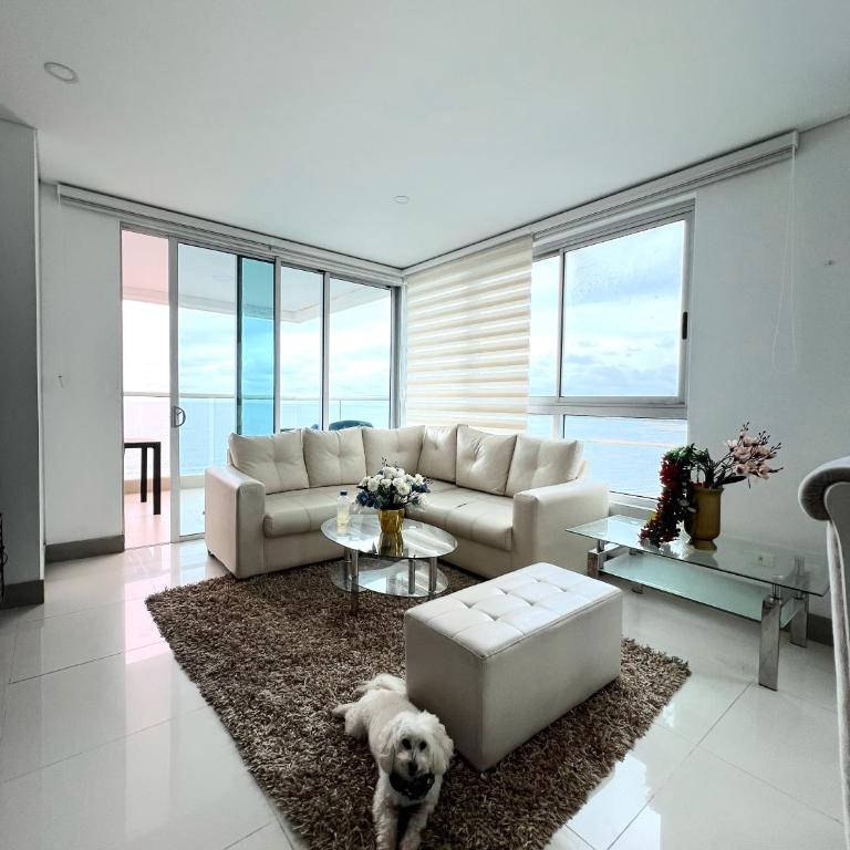 Beachfront Luxurious Apartment, Palmetto Beach - Apartamento de 3 dormitorios - 53