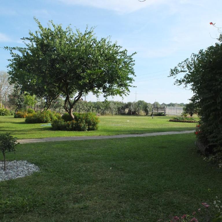 Luce di Sole Apartment - Apartman sa 1 Spavaćom Sobom - 9