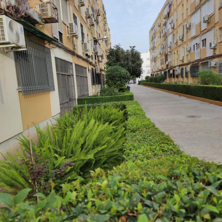 Apartamento Celia - Apartamento de 2 dormitorios - 23
