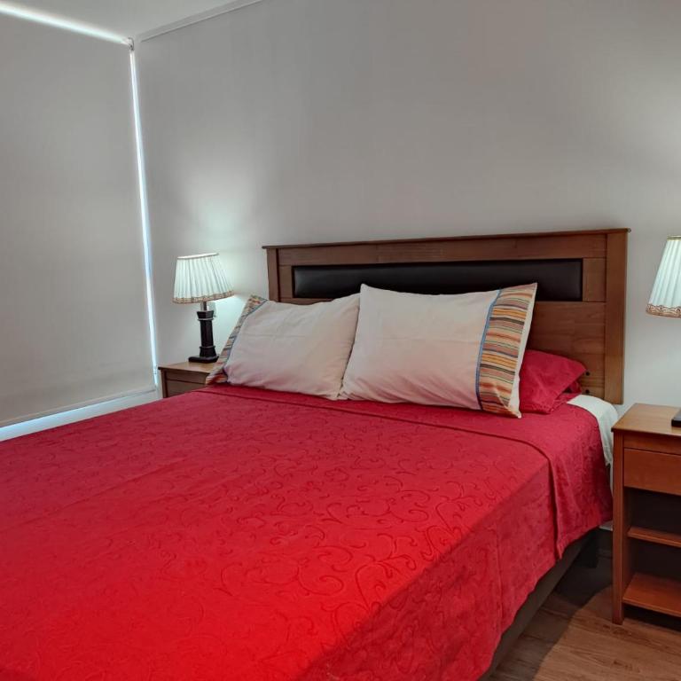 Departamentos Amoblados Santiago Centro 1 y 2 dormitorios General Mackenna - Apartamento de 2 dormitorios con balcón - 1
