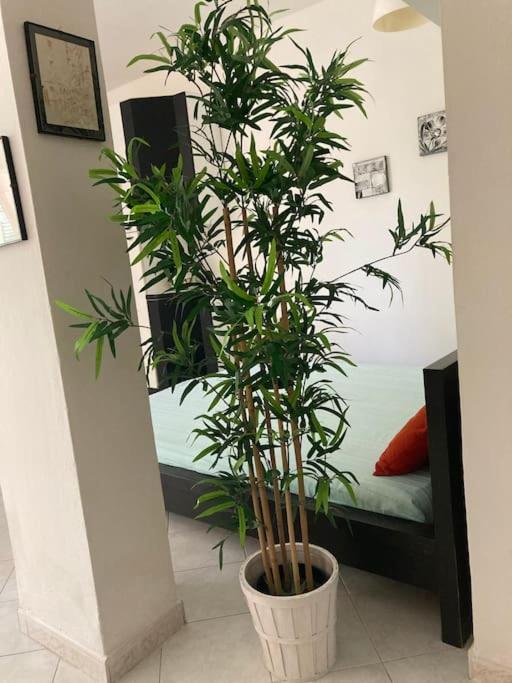 La casetta vista mare - One-Bedroom Apartment - 15