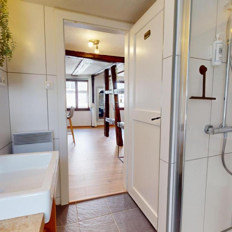 Au Petit Vauban 2 chambres & parking - Apartment mit 2 Schlafzimmern - 11