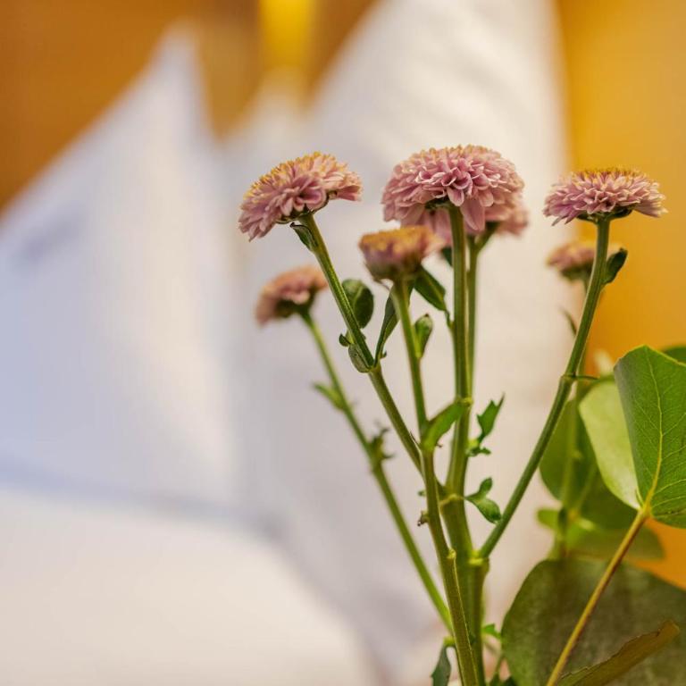 Gradiva Apartments - Apartment - 4