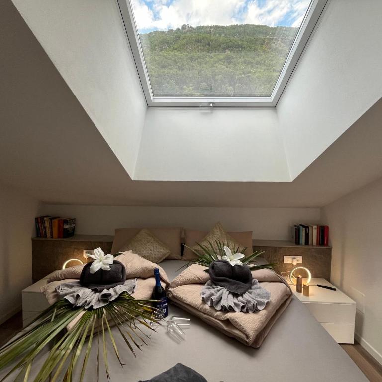 Guesthouse Le Palme - Casa con 4 camere da letto - 24