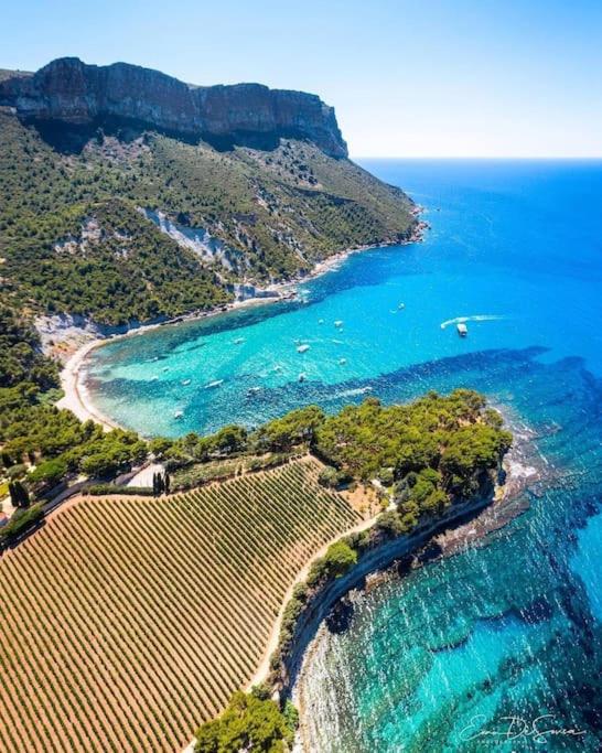 Super Cassis Paradis 8p piscine vue mer - Villa mit Meerblick - 33