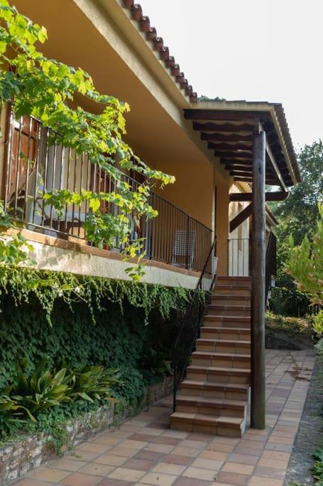 Cal Melu - Four-Bedroom House - 32