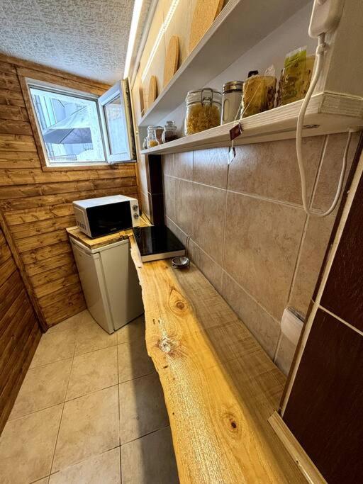 Stanislavsky - Apartman sa 1 Spavaćom Sobom - 2