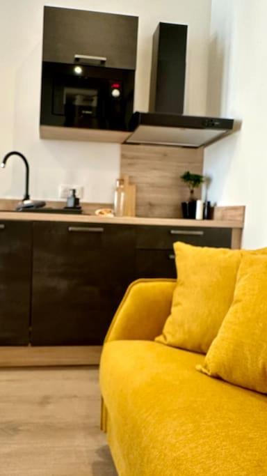 Thomas Price Appart - Appartement 1 Chambre - 22