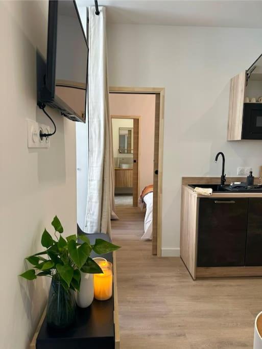 Thomas Price Appart - Appartement 1 Chambre - 33
