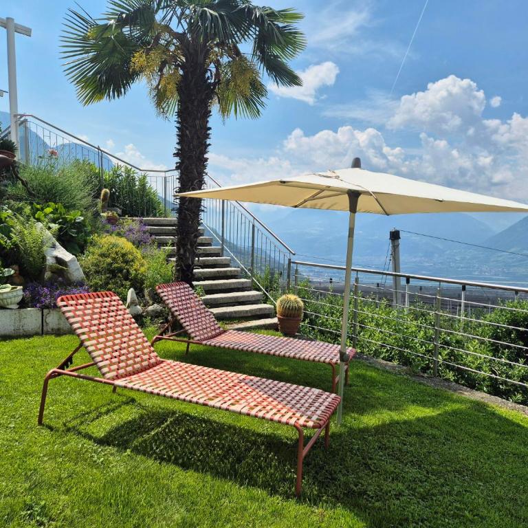 Apartments Graf Hartwig - Appartamento - 4