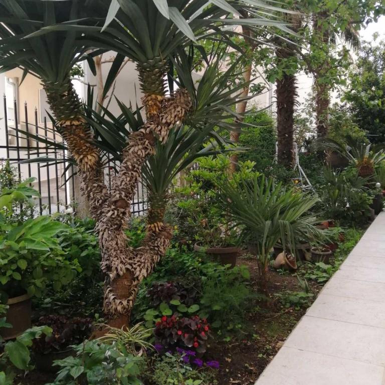 DOLCE BUDVA APARTMANI eco pumpa - Apartment mit 1 Schlafzimmer - 43