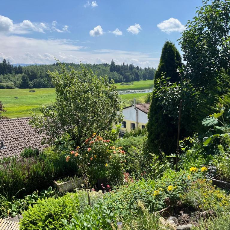 Panorama-Haus Appartment PFÄNDER - Bergblick, Badezimmer, Kitchenette, eigene Sonnenterrasse - Studio-Apartment - 19