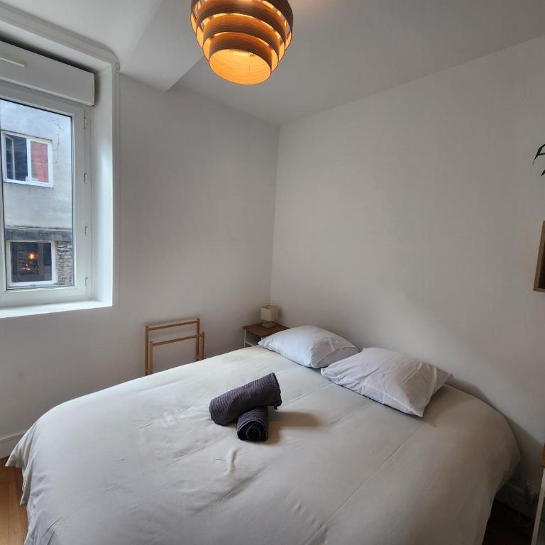 Le Cocon du Château - Appt 4pers - Hypercentre - Appartement 1 Chambre - 7