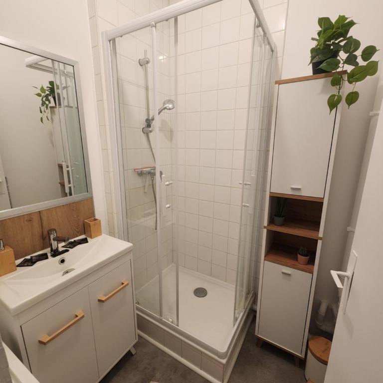 Le Cocon du Château - Appt 4pers - Hypercentre - Appartement 1 Chambre - 9