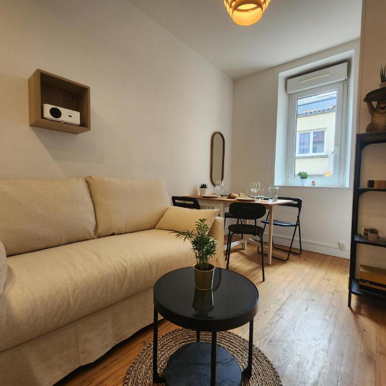 Le Cocon du Château - Appt 4pers - Hypercentre - Appartement 1 Chambre - 2
