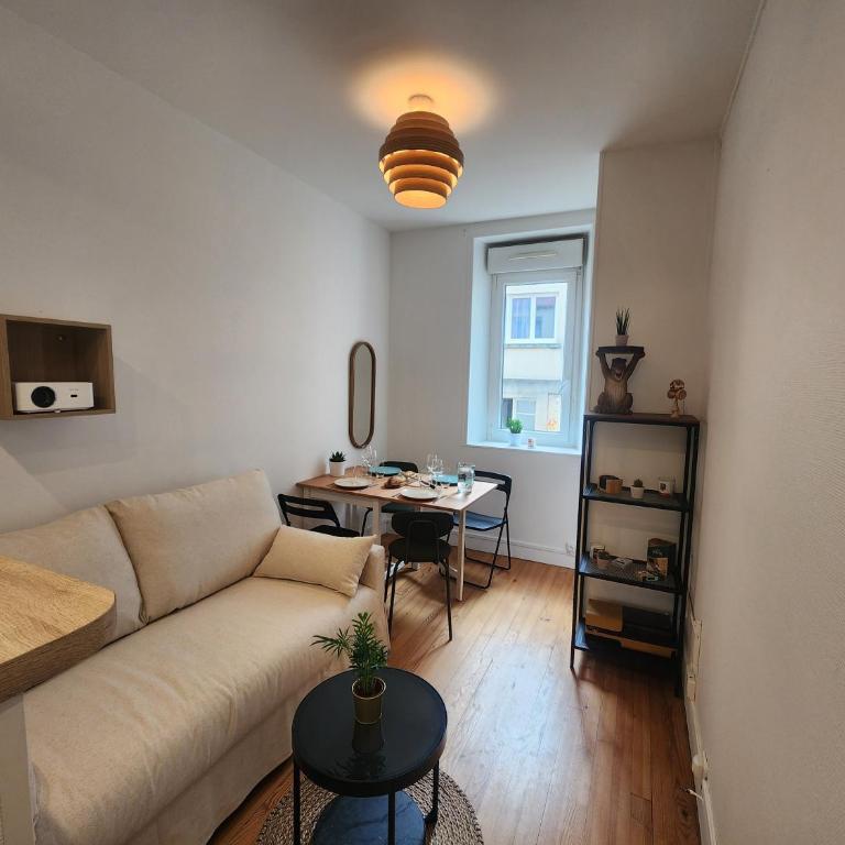 Le Cocon du Château - Appt 4pers - Hypercentre - Appartement 1 Chambre - 12