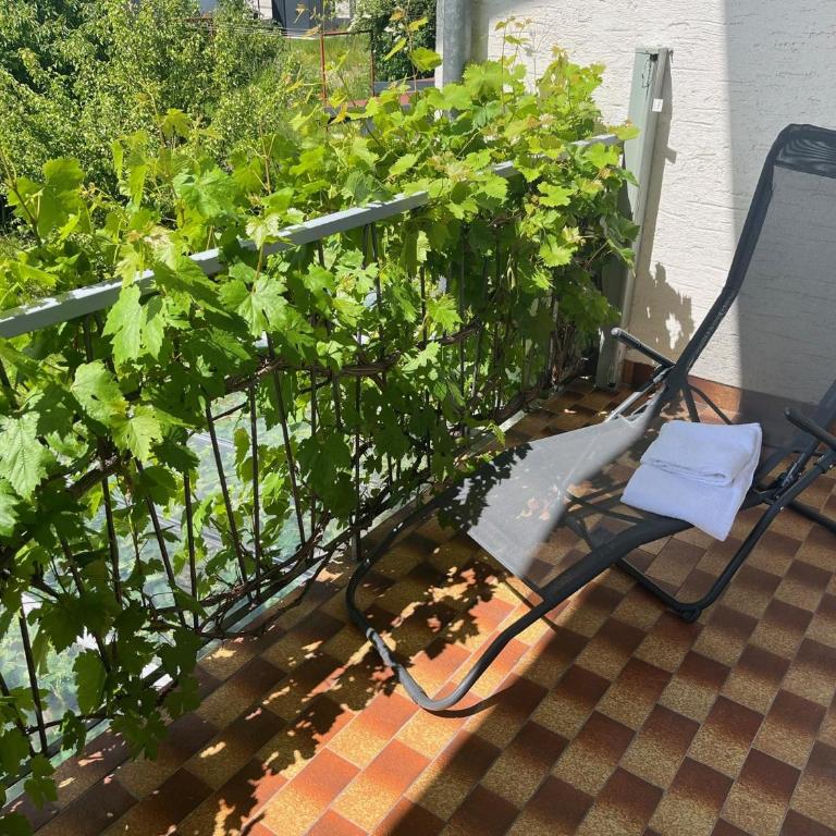 Apartment Tonelli - Apartment mit 2 Schlafzimmern und Badezimmer - 28