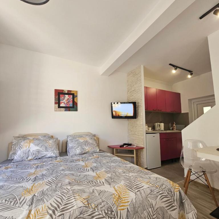 Studio apartmani Vukasin - Standard Studio - 5