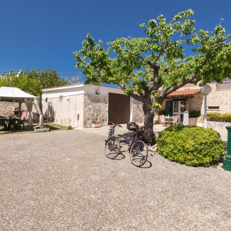 Come a casa tua by BarbarHouse - Casa con 1 Camera da Letto - 15