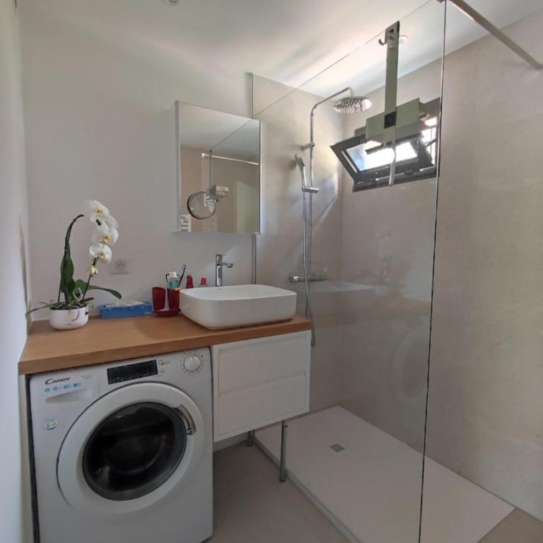 Le Palmier, jardin privatif, plage 200m, centre et restaurants à deux pas, climatisé, wifi, garage, rénové - Apartment with Garden View - 8