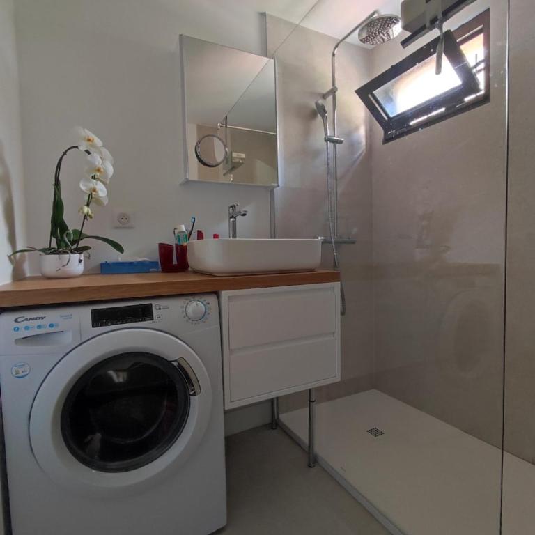 Le Palmier, jardin privatif, plage 200m, centre et restaurants à deux pas, climatisé, wifi, garage, rénové - Apartment with Garden View - 5