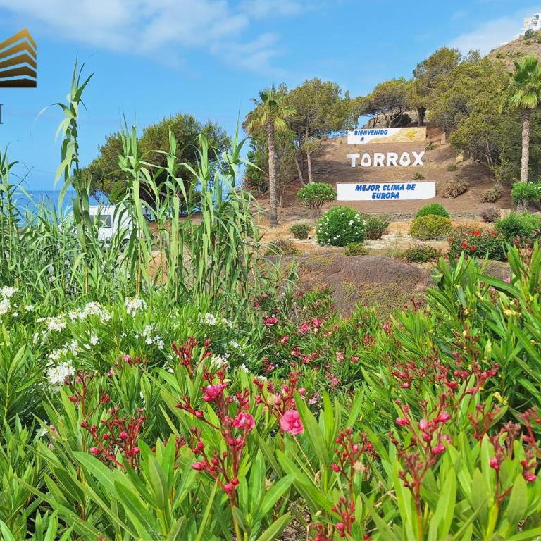 SunStar Penthouse Exclusive & Privacy SeaView KNI - Apartamento de 2 dormitorios - 30