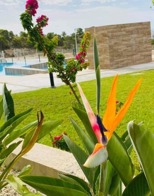 Precioso y luminoso apartamento en Benidorm - Appartamento con 2 Camere da Letto, Terrazza e Vista Mare - 50