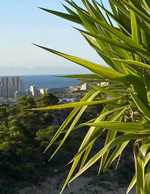 Precioso y luminoso apartamento en Benidorm - Appartamento con 2 Camere da Letto, Terrazza e Vista Mare - 56