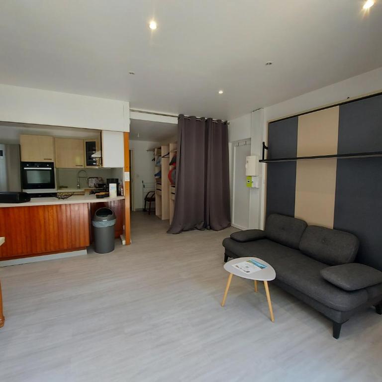 Centre St Jorioz : Charmant et spacieux studio avec terrasse et jardin privatif - Studio - 29