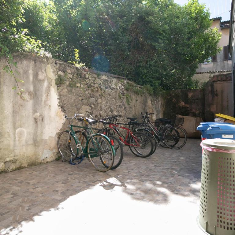 Lake River Apartment - Appartamento - 49