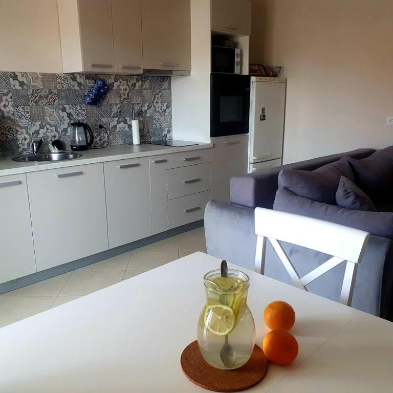 Summer Apartment Petrovac - Two-Bedroom Apartment with Balcony and Sea View - 1