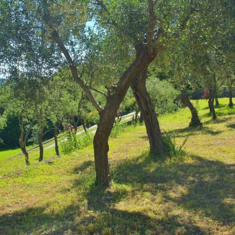 Villa Costa dei Gelsomini - 5 posti letto, piscina e giardino privato vista mare - Villa con 3 Camere da Letto - 62