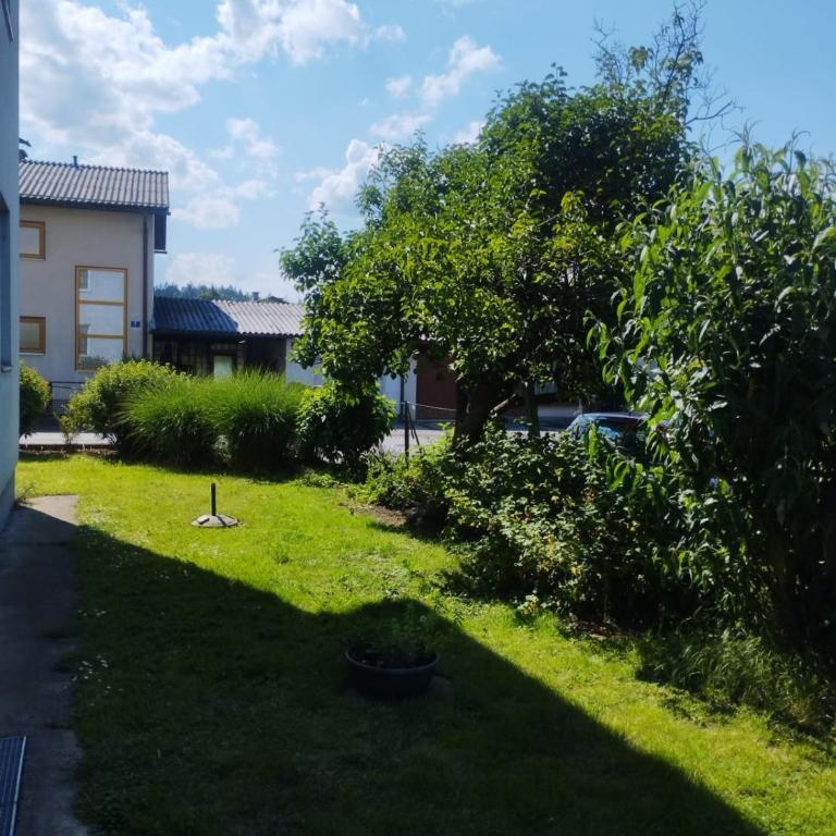 Familie Graf-Nafikov - Apartment mit 2 Schlafzimmern - 19