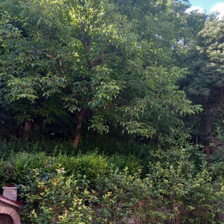 Apartman Turkana 1 - Classic Triple Room - 18