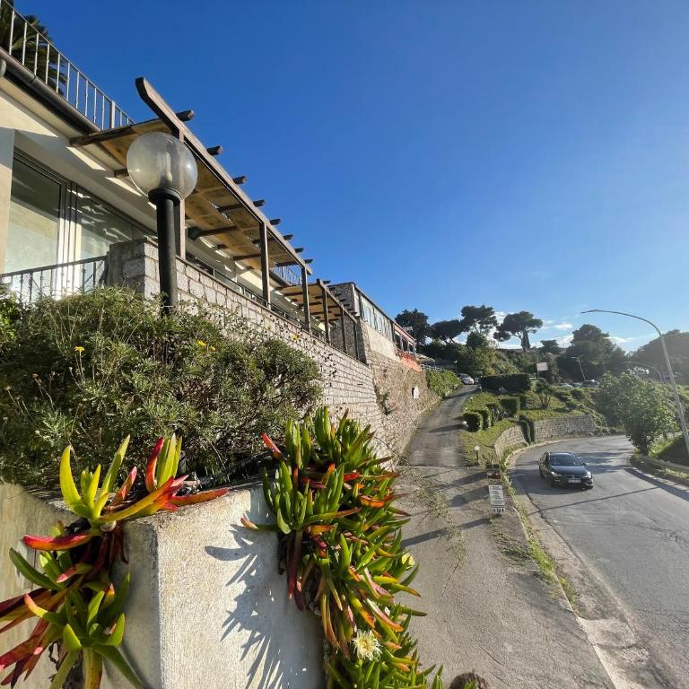 Appartamento Nettuno - Monolocale con Balcone - 19
