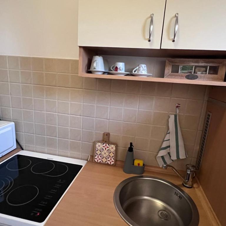 Fortuna - Apartman sa 1 Spavaćom Sobom - 15