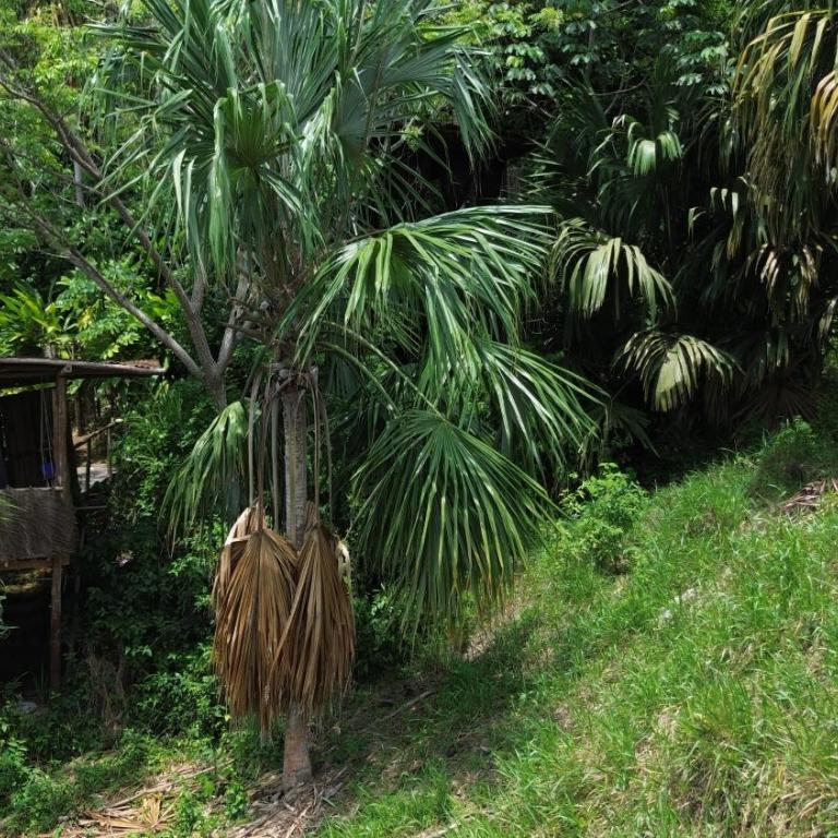The Valley Tayrona hostel- A social jungle hostel - Habitación Doble Deluxe - 6