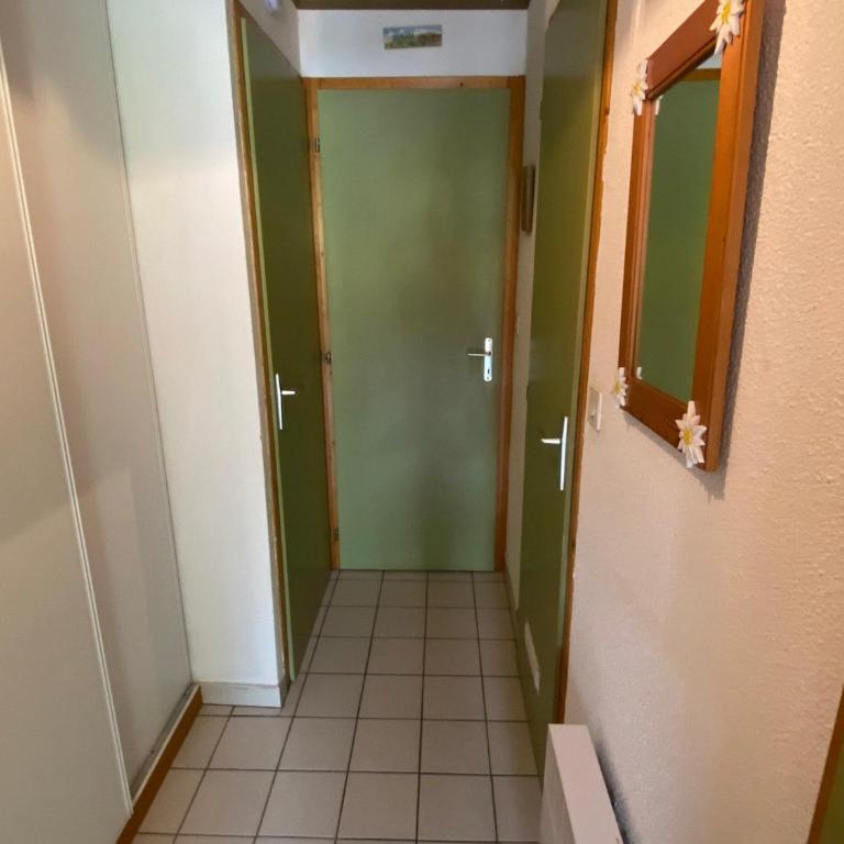 Appartement à Châtel avec WIFI et parking, près du centre - Appartement 1 Chambre - 12