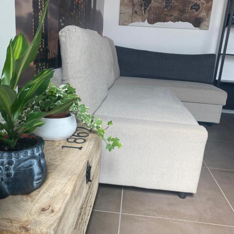 My Loft - Monza Centro - Apartamento de 1 dormitorio - 44