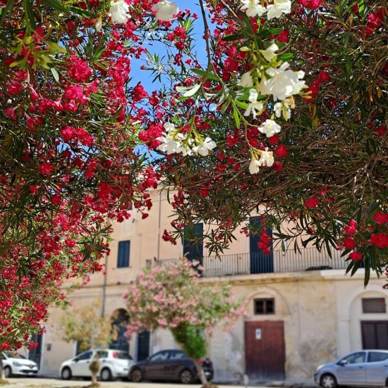MAYU'S HOUSE , Dimora nel centro storico di Lecce - Casa con 2 Camere da Letto - 6